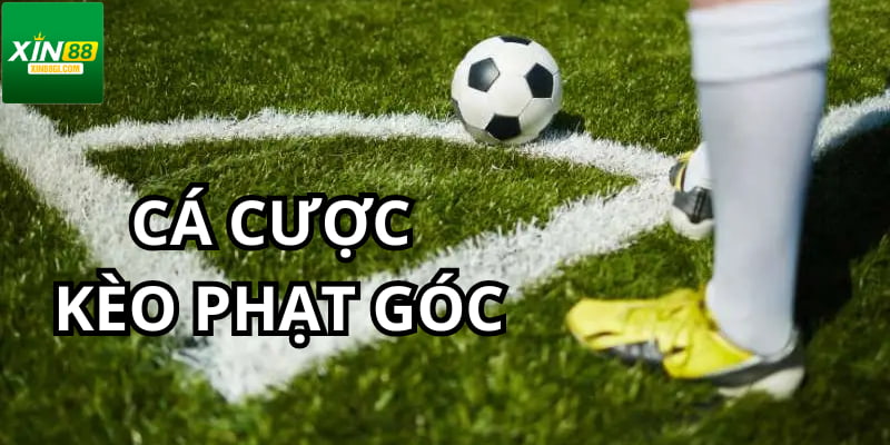 Tỷ lệ kèo dự đoán bàn đá phạt góc phổ biến trên nhà cái online