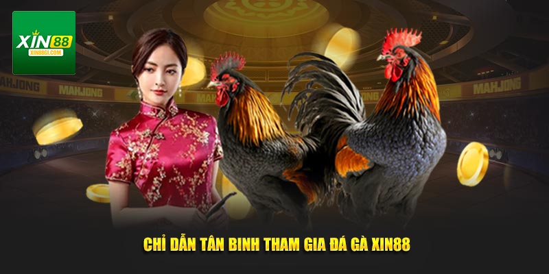 Chỉ dẫn tân binh tham gia đá gà XIN88