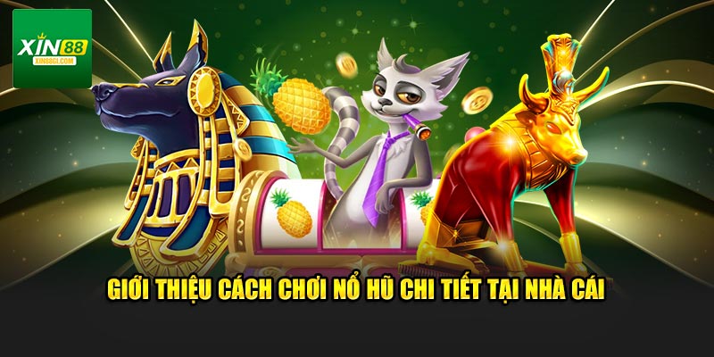 Giới thiệu cách chơi nổ hũ chi tiết tại nhà cái