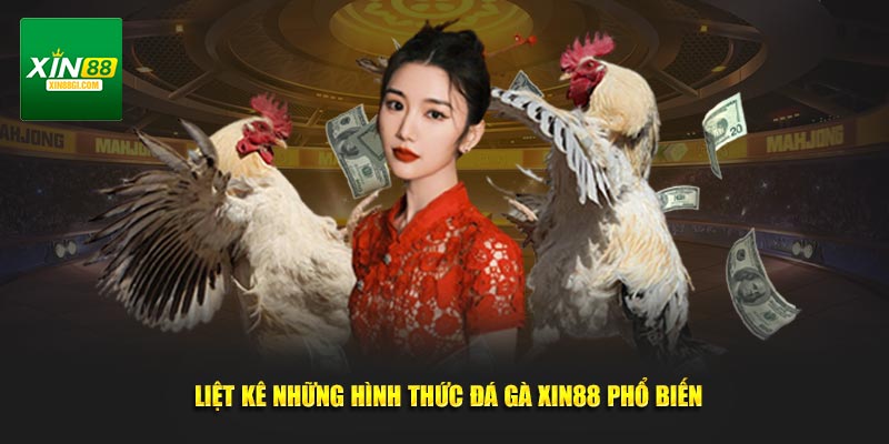 Liệt kê những hình thức đá gà XIN88 phổ biến