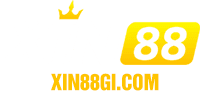 xin88gi.com