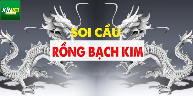 Sơ lược về phương pháp dự đoán rồng hổ