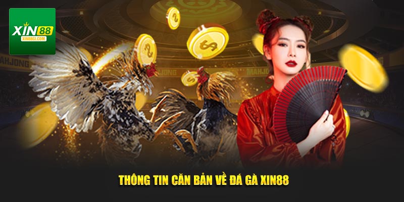 Thông tin căn bản về đá gà XIN88